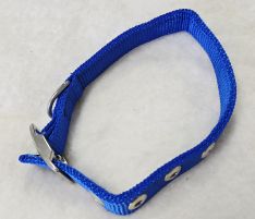 X-Large Blue Collar